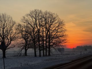 IMG_5504